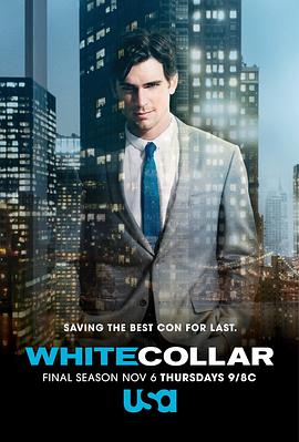 AGE动漫《妙警贼探 第六季 White Collar Season 6》免费在线观看