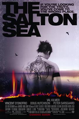 AGE动漫《万里追凶 The Salton Sea》免费在线观看