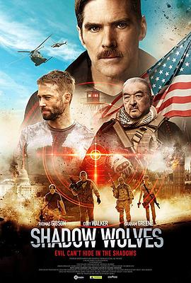 AGE动漫《暗影出击 Shadow Wolves》免费在线观看