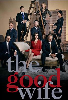 AGE动漫《傲骨贤妻 第六季 The Good Wife Season 6》免费在线观看