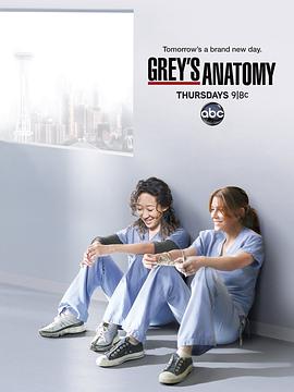 AGE动漫《实习医生格蕾 第八季 Grey's Anatomy Season 8》免费在线观看