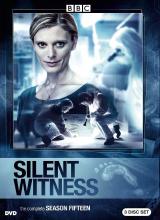 AGE动漫《无声的证言 第十五季 Silent Witness Season 15》免费在线观看