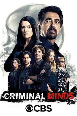 AGE动漫《犯罪心理 第十二季 Criminal Minds Season 12》免费在线观看