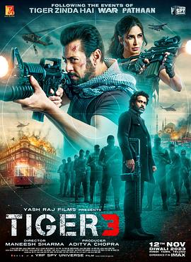 AGE动漫《猛虎3 Tiger 3》免费在线观看