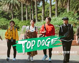 AGE动漫《TOP DOG》免费在线观看