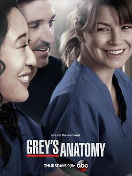 AGE动漫《实习医生格蕾 第十季 Grey's Anatomy Season 10》免费在线观看