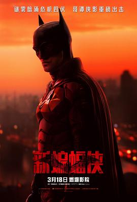 AGE动漫《新蝙蝠侠 The Batman》免费在线观看