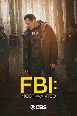 AGE动漫《联邦调查局：通缉要犯 第二季 FBI: Most Wanted Season 2》免费在线观看