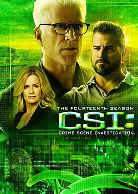 AGE动漫《犯罪现场调查 第十四季 CSI: Crime Scene Investigation Season 14》免费在线观看