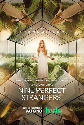 AGE动漫《九个完美陌生人 第一季 Nine Perfect Strangers Season 1》免费在线观看