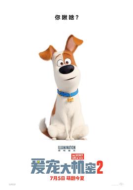 AGE动漫《爱宠大机密2 The Secret Life of Pets 2》免费在线观看