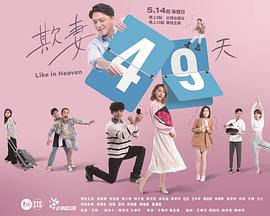 电视剧《欺妻49天》HD在线免费观看