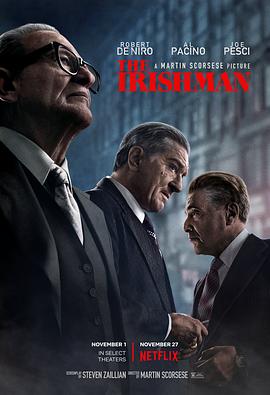 AGE动漫《爱尔兰人 The Irishman》免费在线观看