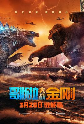 AGE动漫《哥斯拉大战金刚 Godzilla vs Kong》免费在线观看