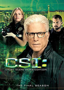 AGE动漫《犯罪现场调查 第十五季 CSI: Crime Scene Investigation Season 15》免费在线观看