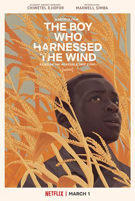 AGE动漫《驭风男孩 The Boy Who Harnessed the Wind》免费在线观看