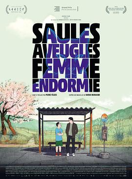 AGE动漫《盲柳与睡女 Saules aveugles, femme endormie》免费在线观看