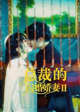 AGE动漫《总裁的闪婚娇妻2》免费在线观看