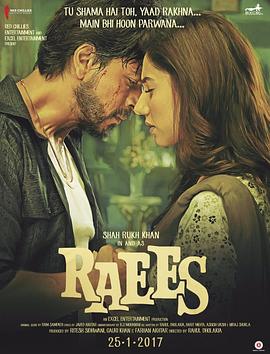 AGE动漫《枭雄 Raees》免费在线观看