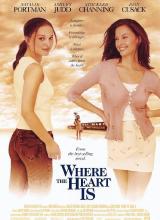 AGE动漫《芳心何处 Where the Heart Is》免费在线观看