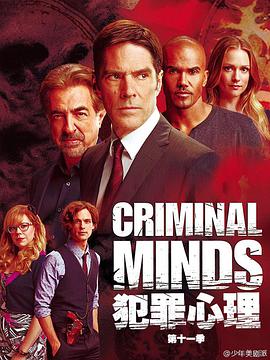 AGE动漫《犯罪心理 第十一季 Criminal Minds Season 11》免费在线观看