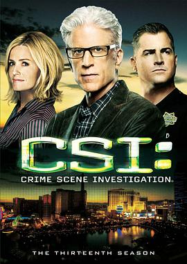 AGE动漫《犯罪现场调查 第十三季 CSI: Crime Scene Investigation Season 13》免费在线观看