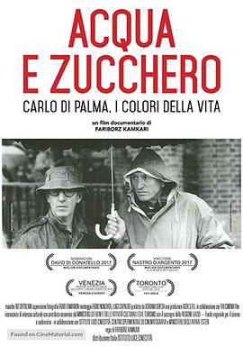 动漫《水与糖：摄影家卡洛·迪·帕尔马的生活与色彩 Acqua e zucchero: Carlo Di Palma, i colori della vita》4k在线免费观看