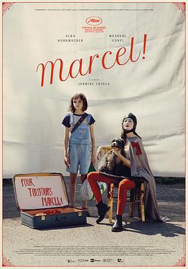 AGE动漫《马赛尔 Marcel!》免费在线观看