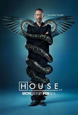 AGE动漫《豪斯医生 第六季 House M.D. Season 6》免费在线观看