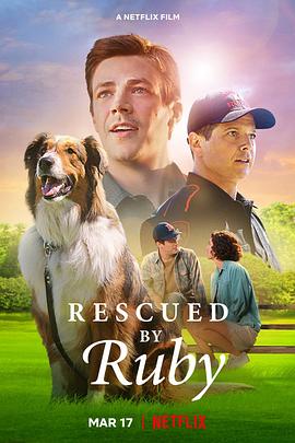 AGE动漫《义犬救主 Rescued by Ruby》免费在线观看