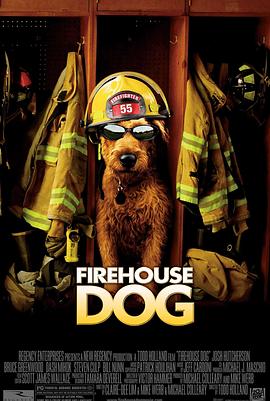 AGE动漫《消防犬 Firehouse Dog》免费在线观看