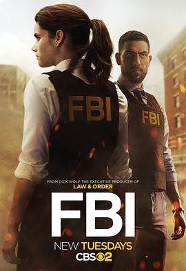 电视剧《联邦调查局 第一季 FBI Season 1》完整版在线免费观看