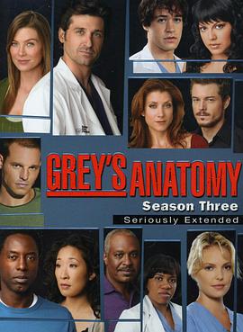 AGE动漫《实习医生格蕾 第三季 Grey's Anatomy Season 3》免费在线观看