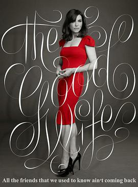 AGE动漫《傲骨贤妻 第七季 The Good Wife Season 7》免费在线观看