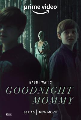 AGE动漫《晚安妈咪 Goodnight Mommy》免费在线观看