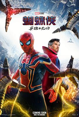 AGE动漫《蜘蛛侠：英雄无归 Spider-Man: No Way Home》免费在线观看