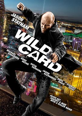 AGE动漫《怒火保镖 Wild Card》免费在线观看