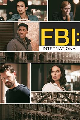 AGE动漫《联邦调查局：国际 第三季 FBI: International Season 3 Season 3》免费在线观看