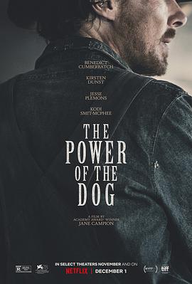 AGE动漫《犬之力 The Power of the Dog》免费在线观看