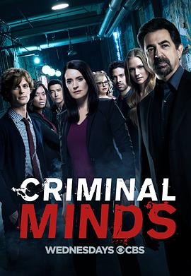 AGE动漫《犯罪心理 第十三季 Criminal Minds Season 13》免费在线观看