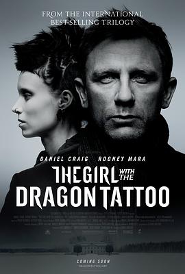 AGE动漫《龙纹身的女孩 The Girl with the Dragon Tattoo》免费在线观看