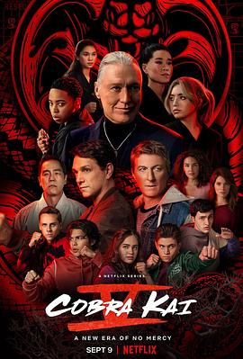 AGE动漫《眼镜蛇 第五季 Cobra Kai Season 5》免费在线观看